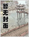 西岸[GB/女攻]